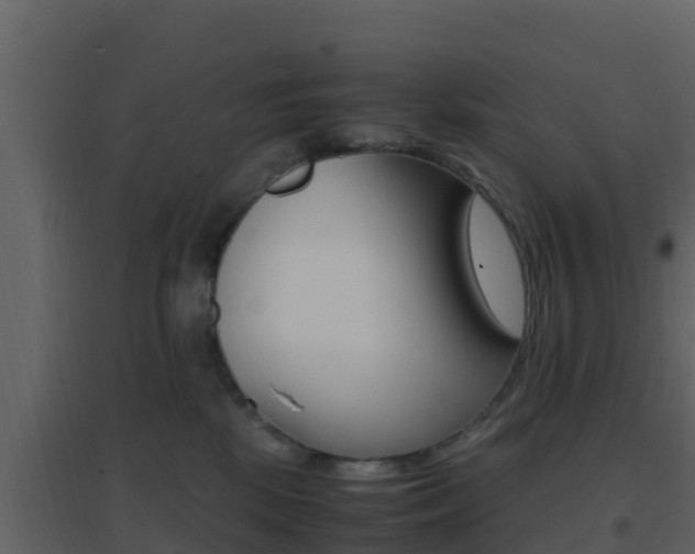 X0000096700281200802051108