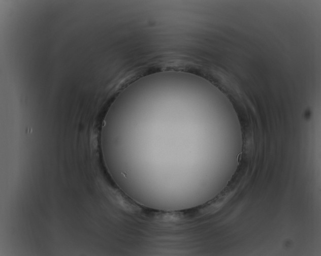 X0000096700282200802051108