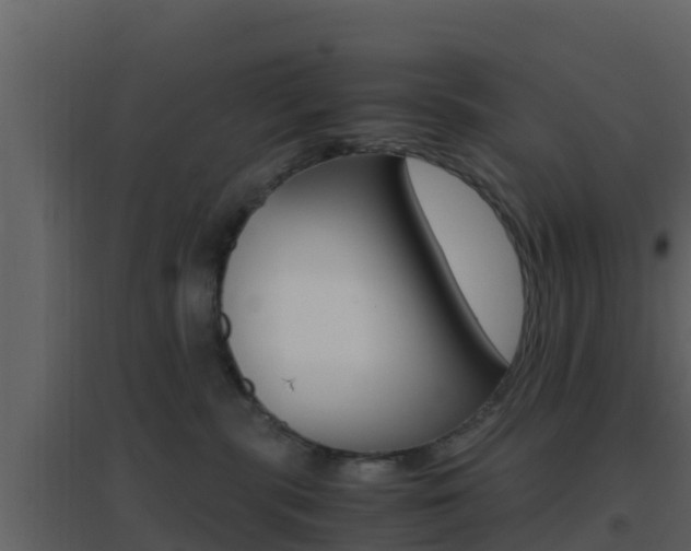 X0000096700283200802051108