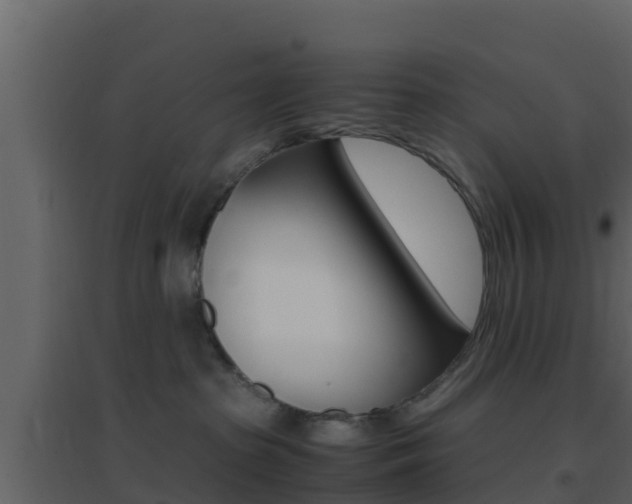 X0000096700285200802051108