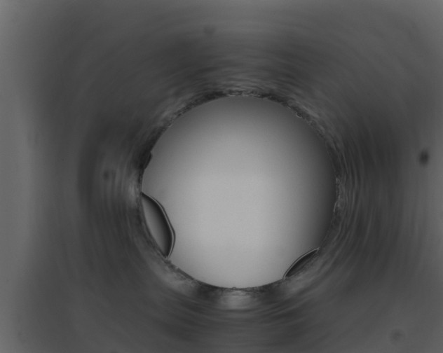 X0000096700287200802051108