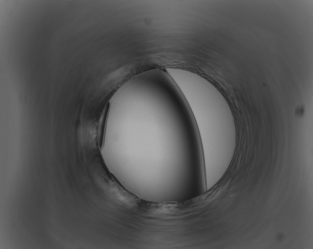 X0000096700288200802051108