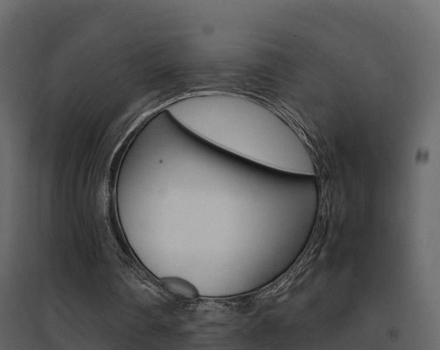 X0000096700290200802051107