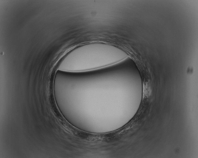 X0000096700291200802051107