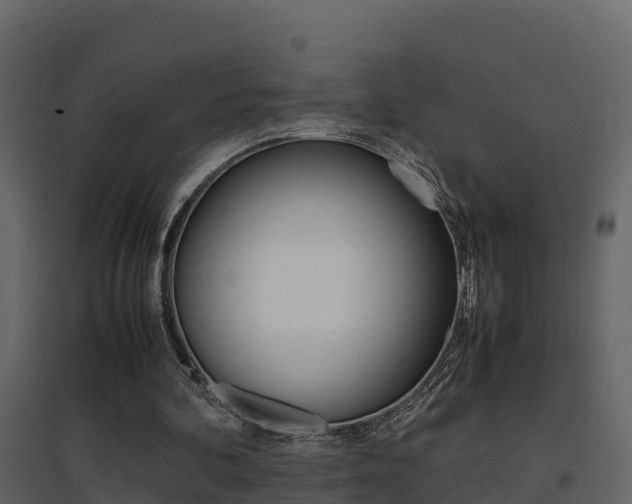 X0000096700292200802051107