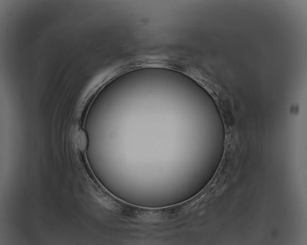 X0000096700293200802051107