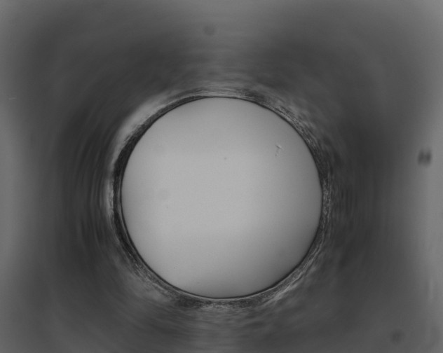 X0000096700294200802051107