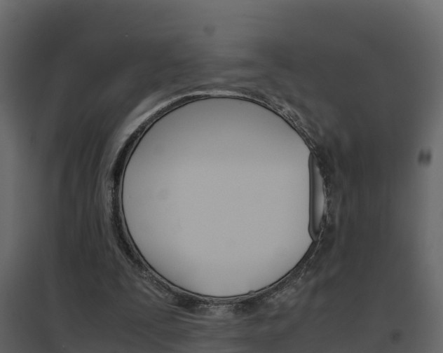 X0000096700295200802051107