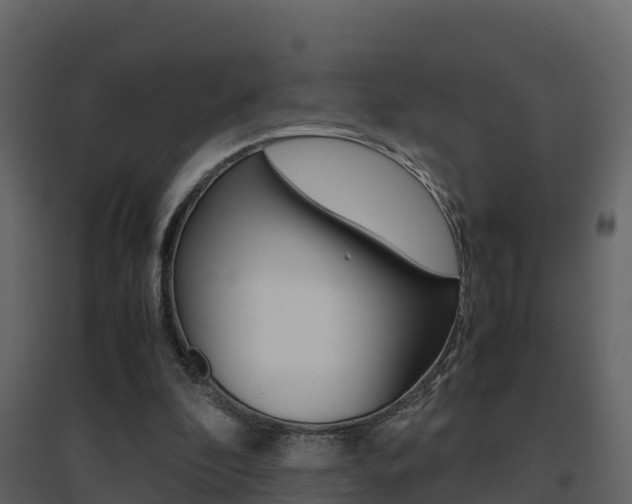 X0000096700296200802051107