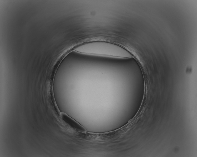 X0000096700297200802051107