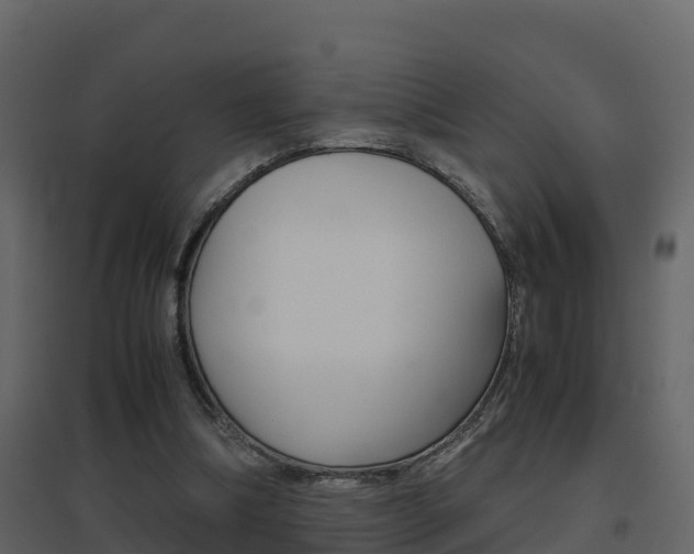 X0000096700298200802051107