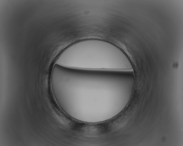 X0000096700299200802051107