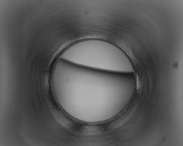 X0000096700300200802051107