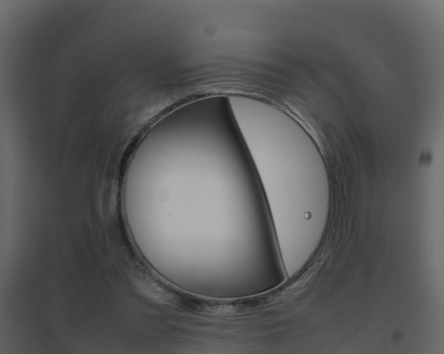 X0000096700301200802051107