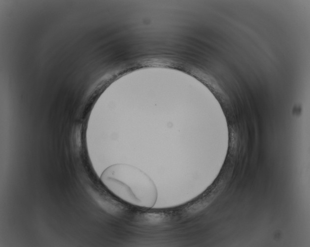 X0000096700302200802051107