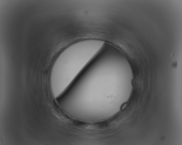 X0000096700303200802051107