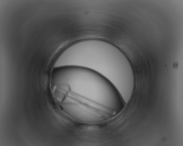 X0000096700304200802051107