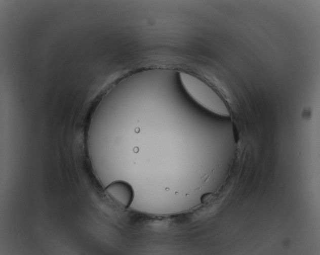 X0000096700306200802051107