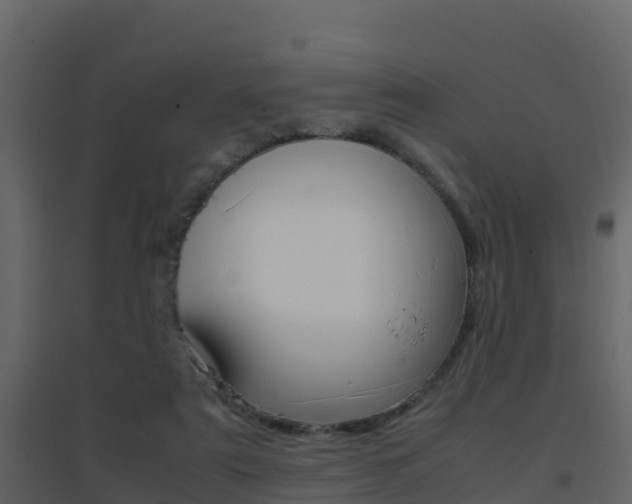 X0000096700307200802051107
