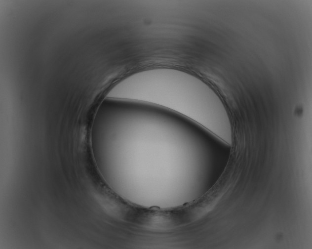 X0000096700308200802051107