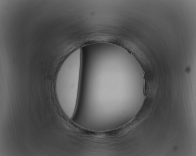 X0000096700309200802051107