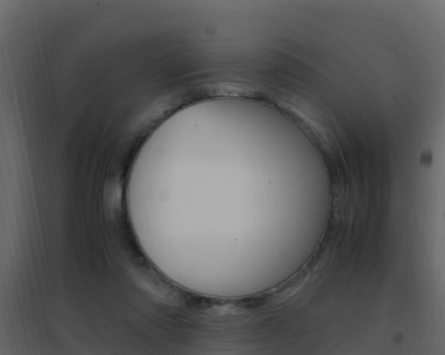 X0000096700310200802051107