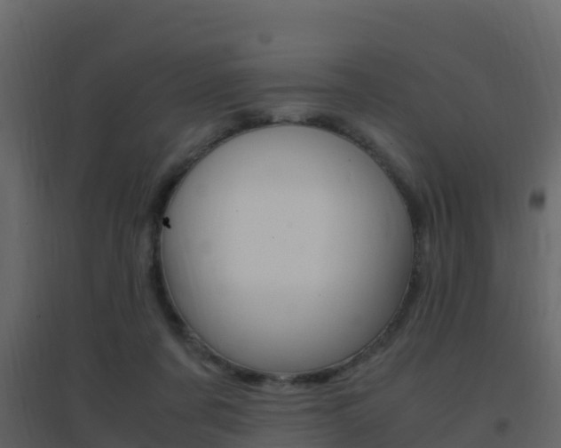 X0000096700311200802051107