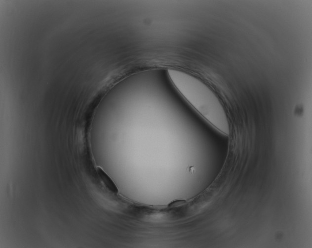 X0000096700312200802051107