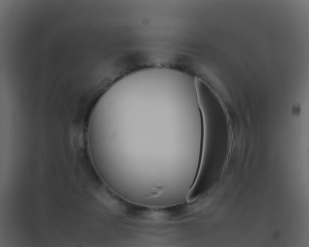 X0000096700313200802051107