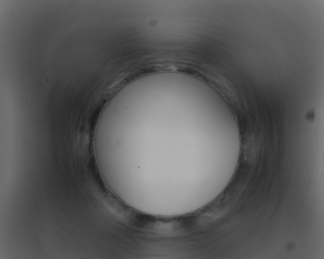 X0000096700314200802051107