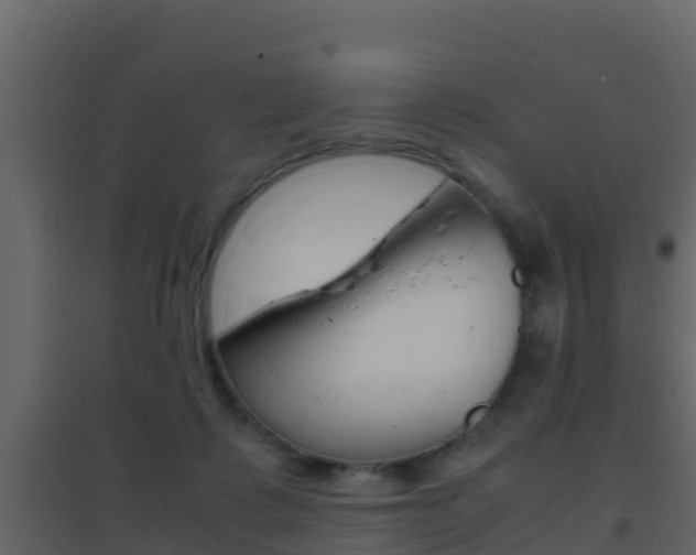 X0000096700315200802051107
