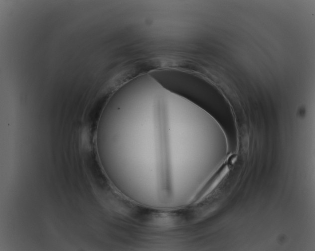 X0000096700316200802051107