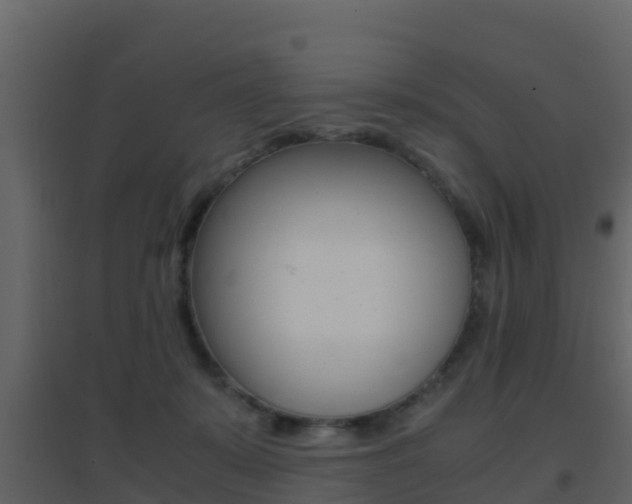 X0000096700319200802051107