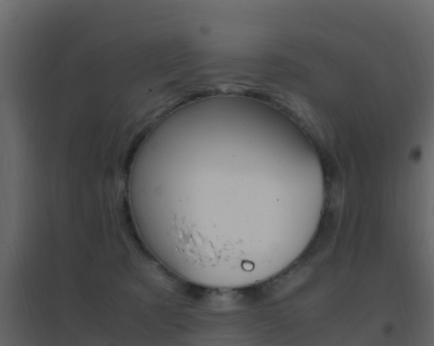 X0000096700321200802051107