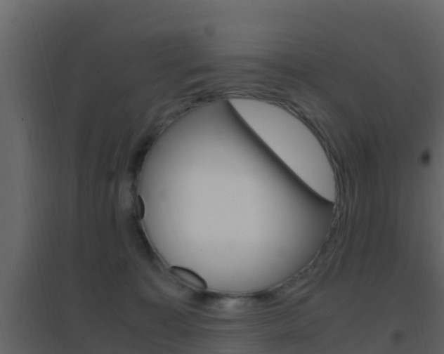 X0000096700323200802051107