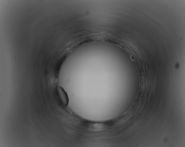 X0000096700324200802051107