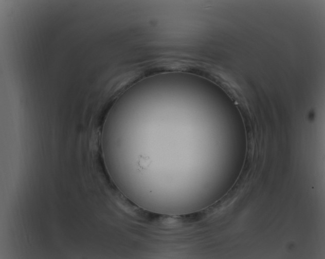 X0000096700325200802051107
