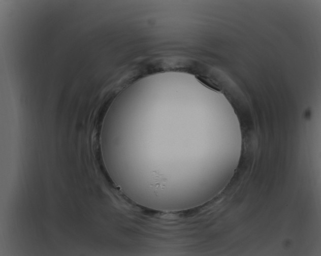 X0000096700327200802051107
