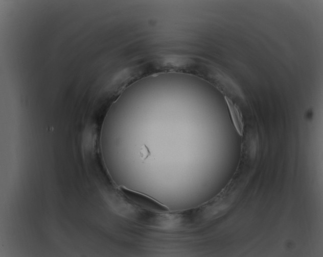 X0000096700328200802051107