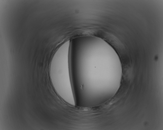 X0000096700329200802051107
