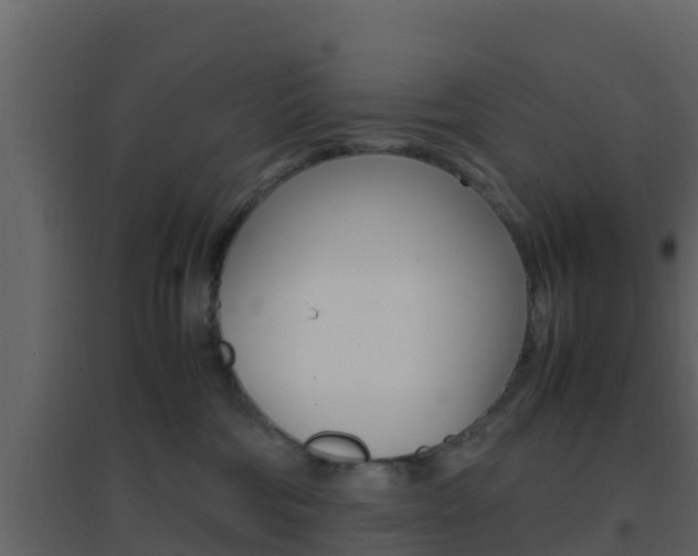 X0000096700330200802051107