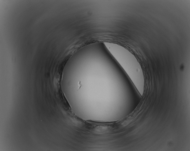 X0000096700332200802051107