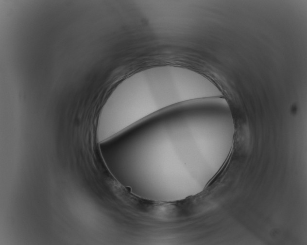 X0000096700333200802051107
