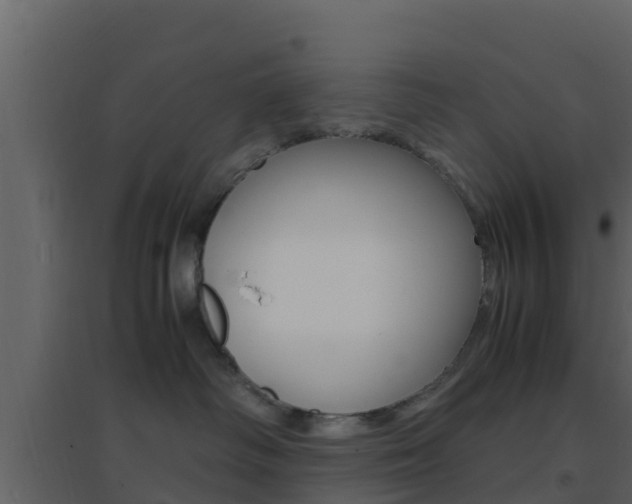 X0000096700334200802051107