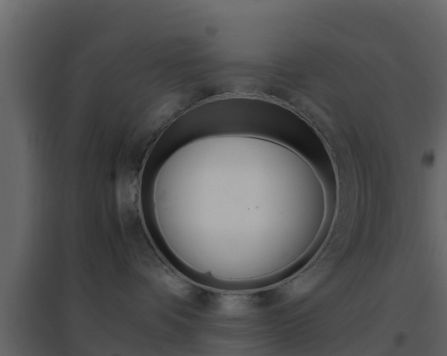 X0000096700336200802051107