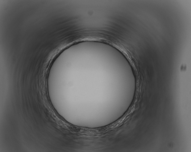 X0000096700337200802051106