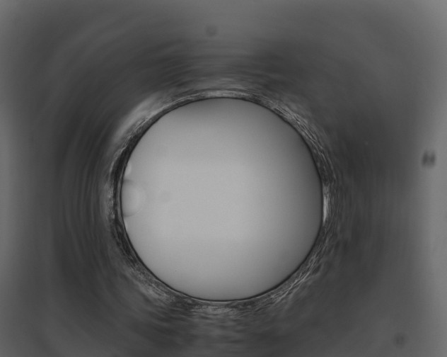 X0000096700339200802051106