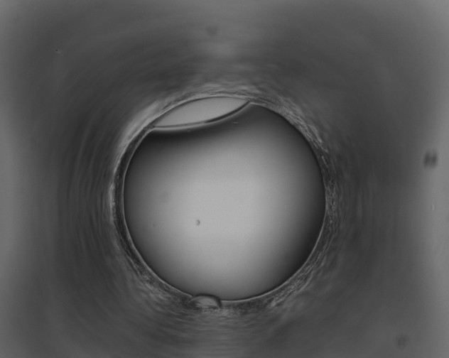 X0000096700340200802051106