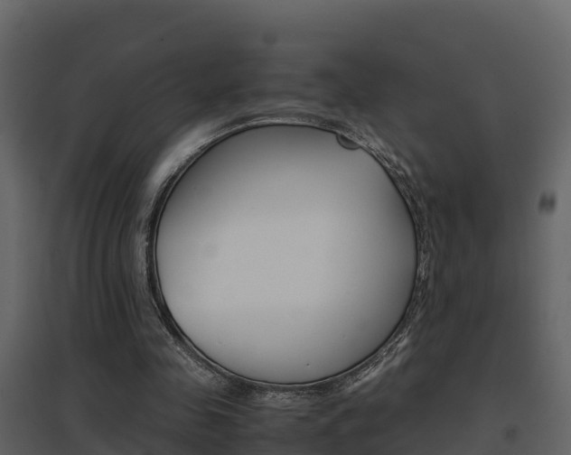 X0000096700341200802051106