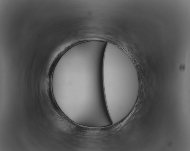 X0000096700342200802051106